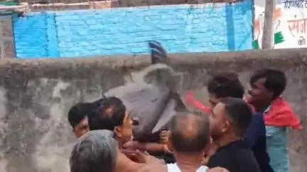 करेली: राशन वितरण कर रहे सेल्समैन के साथ सोसाइटी में घुसकर चार लोगों ने की मारपीट, वीडियो वायरल