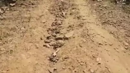 ଜୟପୁର: ଚାଞ୍ଚଡା ପଦର ଗାଁ  ଦୁର୍ଗମ ଅଞ୍ଚଳ ରେ ପହଞ୍ଚି ପାରିଲାନି ବିକାଶ, ଗ୍ରାମବାସୀ ମାନେ କଣ ଅଭିଯୋଗ କରିଛନ୍ତି ଶୁଣନ୍ତୁ 
#jansamasya