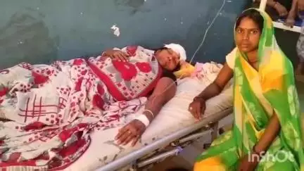 बांदा: अलीगंज इलाके में गधे ने महिला को मारी लात, महिला पत्थर से टकराकर घायल हुई, जिला अस्पताल में कराया गया भर्ती