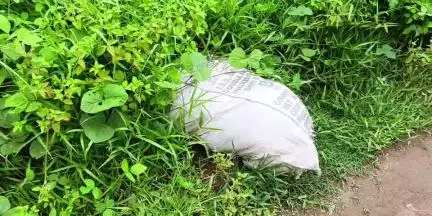 കുന്നത്തൂർ: റോഡെന്ന ബോധമില്ലാതെ സാമൂഹ്യവിരുദ്ധർ, പരാതി പറഞ്ഞ് മടുത്ത് പോരുവഴി അമ്പിയിൽമുക്ക് നിവാസികൾ #localissue