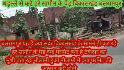 बलरामपुर समाचार बिना परमिट खंड विकास कार्यालय के सामने कटे हरे सागौन के पेड़ जिम्मेदार वन विभाग के अधिकारियों ने कहाहम ज