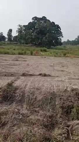 sukki ke andar ban raha new pull#bihar#patepur#