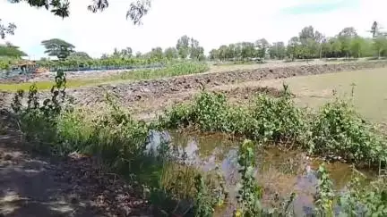 সন্দেশখালি ২: উত্তর সিথুলিয়া এলাকায় অবৈধ ভাবে পিডব্লিউডি র খাল দখল করে ভরাটের অভিযোগ#jansamasya