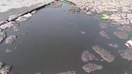 हिसार: हांसी बस स्टैंड पर सिवरेज की समस्या की को लेकर जताई नाराजगी, बोले जल्द से जल्द समस्या हो #jansamaysa