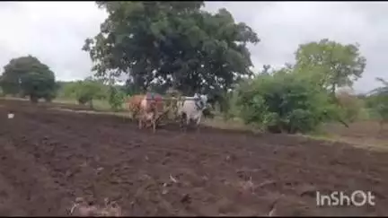 వికారాబాద్: వికారాబాద్ జిల్లాలో ఋతుపవనాలు ప్రారంభమైన వేల వ్యవసాయ పనులు నిమగ్నమైన రైతులు