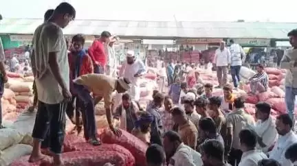 शाजापुर: शाजापुर मंडी में 12662 क्विंटल प्याज की आवक, ₹1350 प्रति क्विंटल बिकी