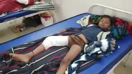 नरसिंहपुर: बैहरपौड़ी के पास वाहन ने बाइक को टक्कर मारी, मासूम बच्चे सहित मां घायल