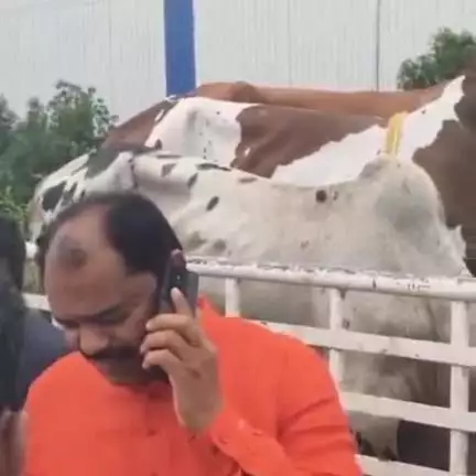 ಕಲಬುರಗಿ: ಕೆಲವರು ಪ್ರಚೋದನೆಗಾಗಿ ಗೋಹತ್ಯೆ ಮಾಡ್ತಿದಾರೆ: ನಗರದಲ್ಲಿ ಸಚಿವ ಎಚ್‌ಕೆ ಪಾಟೀಲ್
