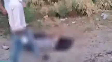 नारासन: नारसन बॉर्डर पर तेज रफ्तार बस ने एक बाइक और ठेली को मारी टक्कर, एक महिला की मौत, तीन लोग घायल