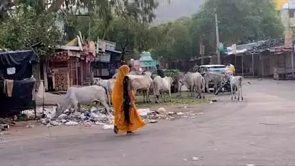 बूंदी: पशु चिकित्सालय के बाहर अतिक्रमण की भरमार चारों ओर ठेले वाले लगा देते हैं गंदगी का ढेर#jansamasya