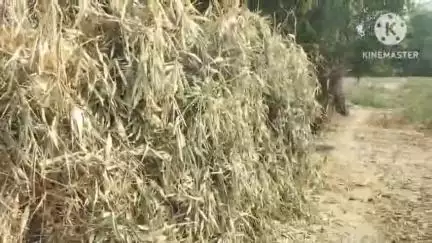 भगवानपुर: नरहरीपुर गांव में दबंगों ने घर का रास्ता रोककर घर खाली करने की धमकी दी, गृहस्वामी दहशत में