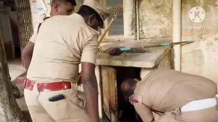 வாணியம்பாடி: வட்டாட்சியர் அலுவலகத்தில் அழையா விருந்தாளியாக வந்த சாரைபாம்பு லாவகமாக பிடித்த தீயணைப்பு துறையினர்