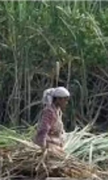 एमपी के गुना में ननद की जगह बदमाशों ने किया भाभी का अपहरण, वापस छोड़ने के दौरान किया रेप; 8 गिरफ्तार