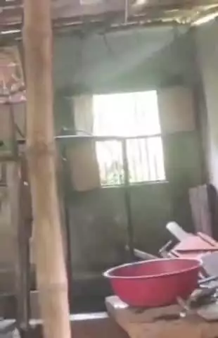 ठाकुरगंज: पौआखाली में आइसक्रीम फैक्ट्री का कंप्रेशर फटा, मालिक और कर्मचारी गंभीर रूप से घायल; अस्पताल में भर्ती