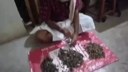 ଭଟଲି: ପଶ୍ଚିମ ଓଡିଶାର ଶ୍ରୀକ୍ଷେତ୍ର ଭଟଲୀ ଦଧିବାମନ ମନ୍ଦିରରେ ମହାପ୍ରଭୁଙ୍କୁ ଲାଗିଲା ତ୍ରିଫଲା ପାଞ୍ଚନ ଭୋଗ