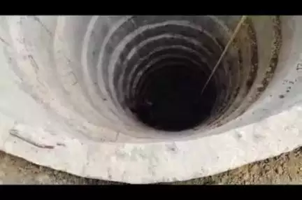 लाखांदूर: आथली येथील शेत शिवारातील विहिरीत पडलेला कोल्ह्याला वन विभागाच्या कर्मचाऱ्यांनी दिले जीवनदान