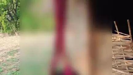 ओबरा: बेलहत्थी गांव में संदिग्ध परिस्थिति में साड़ी के फंदे से लटकता मिला बुजुर्ग महिला का शव