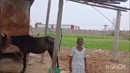 बारां: कोटा रोड हाउसिंग बोर्ड कॉलोनी में तेज अंधड़ के कारण गरीबों के उड़े आशियाने, चद्दर व टंकी भी उड़ी