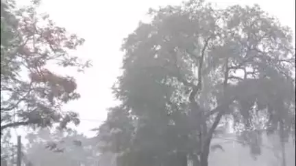 छिंदवाड़ा नगर: छिंदवाड़ा शहर में जमकर बारिश, उमस और गर्मी से लोगों को मिली राहत