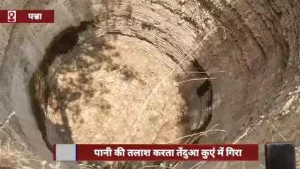 सिमरिया: ग्राम पगरा में पानी की तलाश में सूखे कुएँ में गिरा तेंदुआ, वन विभाग की टीम ने शुरू किया रेस्क्यू
