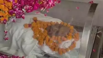 फर्रुखाबाद: समाजवादी पार्टी के संस्थापक सदस्य व पूर्व सांसद छोटी सिंह यादव का लखनऊ में निधन, नेताओं का लगा तांता