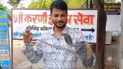 सेंदड़ा में जिला शिक्षा अधिकारी अजय गुप्ता के आवास में फ्रिज के अंदर घुसा कोबरा सांप, स्नैक कैचर ने किया रेस्क्यू