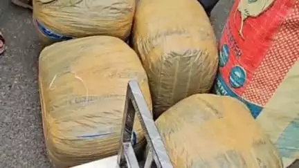 মাটিগাড়া: ৭২ কেজি ৬০০ গ্রাম গাঁজা সহ ফুলবাড়ি গজলডোবা ক্যানেল রোড থেকে গ্রেপ্তার এক