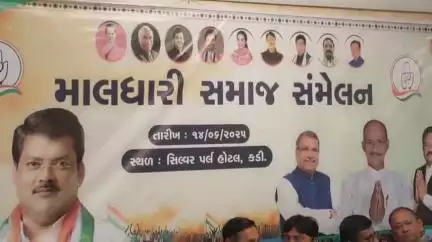 કડી વિધાનસભાની પેટા ચુંટણીને કોગ્રેસ દ્વારા ભાજપ પર આક્ષેપ કરાયા, મહેસાણા જિલ્લા પ્રમુખ, આ સંસદ દ્વારા  આક્ષેપને નકાર્યા