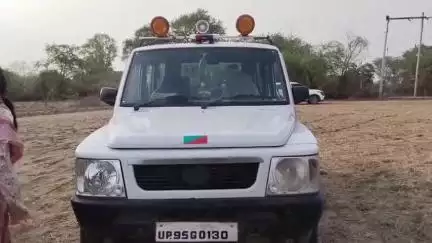 महोबा: कालीपहाड़ी के पास वन विभाग ने की बड़ी कार्रवाई, प्रतिबंधित लकड़ी से भरा ट्रक पकड़ा, मुकदमा दर्ज
