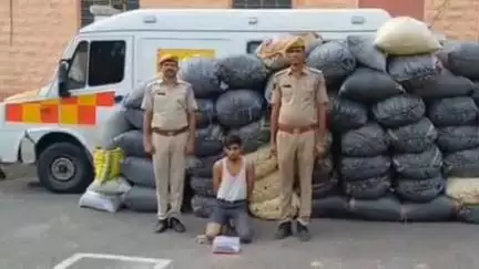पचपदरा: बालोतरा पुलिस ने दो बड़ी कार्यवाही में 1179 किलोग्राम डोडा पोस्त के साथ एक तस्कर को किया गिरफ्तार