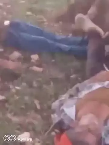 अलीराजपुर: बरझर में आकाशीय बिजली गिरने से दो की मौत, एक गंभीर घायल, महुए के पेड़ के नीचे कर रहे थे बारिश थमने का इंतजार