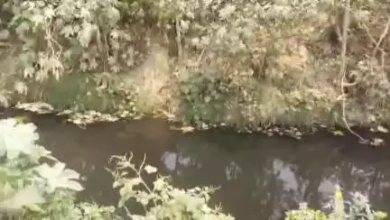 कौशलपुरी कॉलोनी सहित कई अन्य मोहल्लों में जल निकासी की समस्या से लोग परेशान    #jansamasya