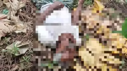 পটাশপুর ২: বাগানে কাজ করতে গিয়ে বিদ্যুতের তাঁর ছিঁড়ে মৃত্যু বৃদ্ধের