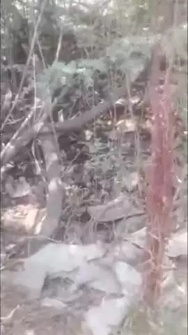 अमेठी: अमेठी में लोगों ने दौड़ाकर पकड़ा शातिर चोर, पुलिस के हवाले किया, वीडियो हुआ वायरल