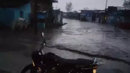 आज पिपरिया कलां में  तेज तूफान के साथ बारिश हुई