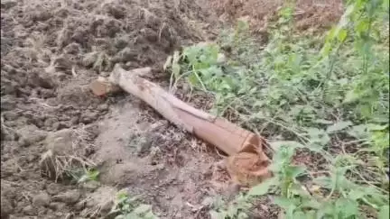 जांजगीर: कलेक्ट्रेट रोड पर सरकारी जमीन से निजी लाभ के लिए हरे पेड़ काटना पड़ा महंगा, तहसीलदार और वन विभाग ने की कार्रवाई