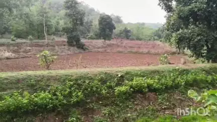 गोंदिया: धामणेवाडा येथे गळफास घेऊन शेतकऱ्याची आत्महत्या