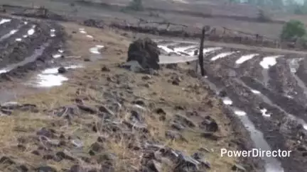 तामिया: विकासखंड क्षेत्र में आंधी-तूफान के साथ जोरदार बारिश, बारातमारी में विद्युत पोल गिरने से बिजली बाधित