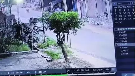 मंझनपुर: गांधी नगर में घर के बाहर खड़ी मोटरसाइकिल चोरों ने उड़ा ली, सीसीटीवी में कैद हुई वारदात, पुलिस जांच में जुटी