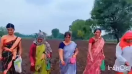 फुलंब्री: बाबरा परिसरात मका पिकाच्या लागवड जोमाने सुरू