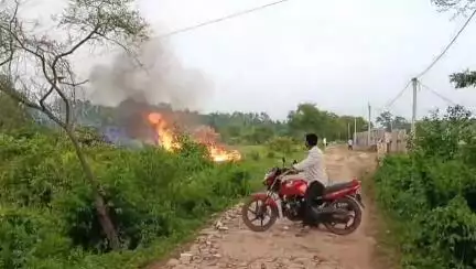 মেদিনীপুর: মেদিনীপুর সদর ব্লকের জামকুন্ডা এলাকায় রাস্তার পাশে শুকনো বাঁশের ঝাড়ে আগুন লাগালো কেউ বা কারা, আতঙ্ক