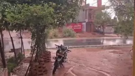 निवाड़ी: पृथ्वीपुर में हुई झमाझम बारिश से लोगों को गर्मी से मिली राहत, मौसम विभाग ने आगामी 5 दिनों तक बारिश होने की जताई संभावना