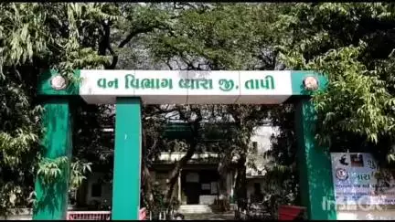 વાલોડ: વાલોડના અધ્યાયપોર ગામની સીમ માંથી મૃત હાલતમાં દીપડો મળી આવતા વન વિભાગે કાર્યવાહી હાથ ધરી.