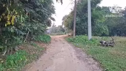 ধর্মনগর: তারাকপুর গ্রাম পঞ্চায়েতের শনি মন্দির থেকে থাল নদীর পাড় মহাদেব বাড়ি পর্যন্ত রাস্তার বেহাল দশা #jansamasya