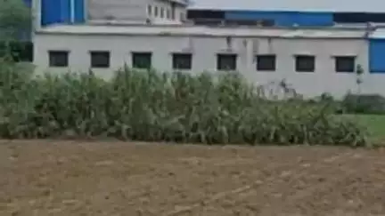 रोहतक: सांपला के नयाबास गांव में वेयर हाउस से 196 कट्टे सरसों की हुई चोरी, मैनेजर की शिकायत पर मामला दर्ज