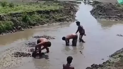 सिवनी: गंदे पानी की शिकायत पर नगर पालिका सक्रिय, सुआखेड़ा इंटकवेल तक केनाल की सफाई शुरू