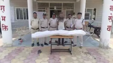 सिहावल: बहरी पुलिस ने ग्राम पोड़ी से 15 गांजे के हरे पौधे किए ज़ब्त, की गई कार्रवाई