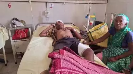 कुरडेग: सारूबेड़ा गांव में लाख लगाते समय पेड़ से गिरने से व्यक्ति का पैर टूटा