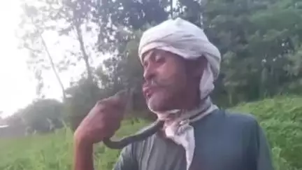 धनौरा: गजरौला गांव हैबतपुर गोसाई में सांप को पकड़कर गले में डाला, जीप पर कटवाने से हालत बिगड़ी, डॉ ने किया रेफर
