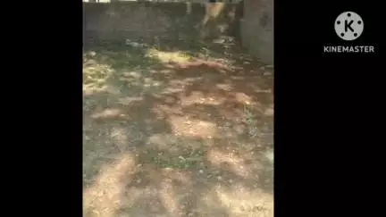 मेजा: मेजा के 5 गांवों में भूमि विवाद गंभीर, प्रशासन की निष्क्रियता से बढ़ा तनाव, SDM ने कार्रवाई का दिया आश्वासन